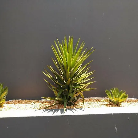 Casa Sensa アルブフェイラ