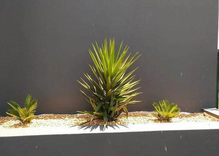 Casa Sensa אלבופיירה